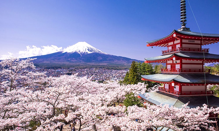 ژاپن | قیمت تور ژاپن | تور ارزان ژاپن | تور لحظه آخری ژاپن | بهترین زمان سفر به ژاپن
