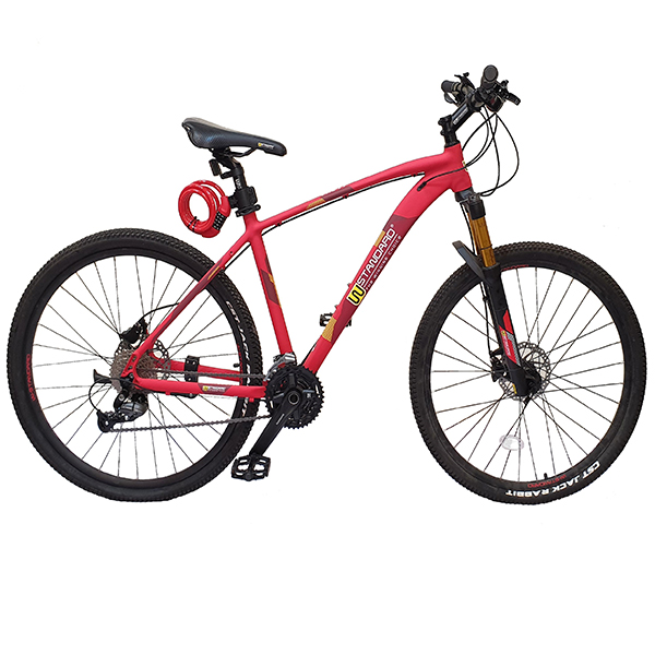 دوچرخه کوهستان دبلیو استاندارد مدل PRO T1 سایز 27.5